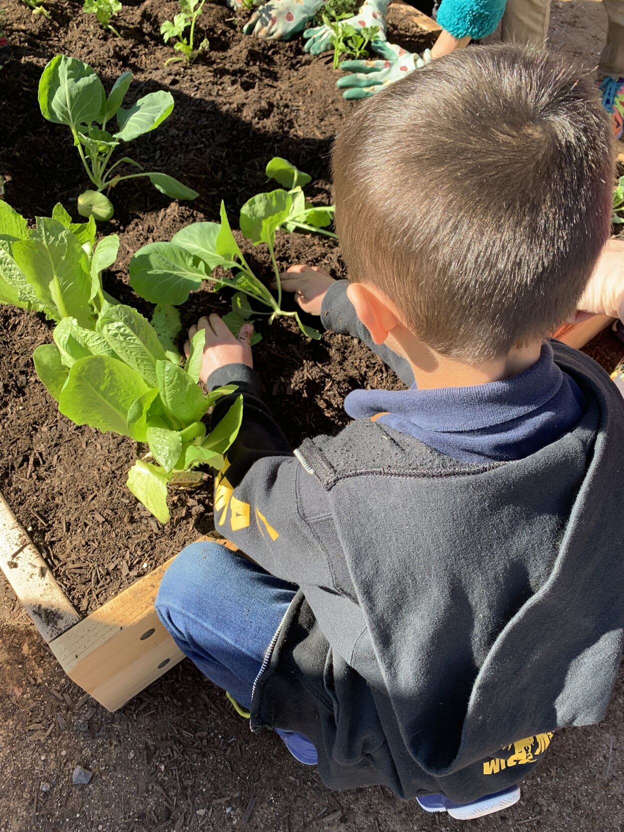 BashasLearningGArden_IMG_1216.JPG